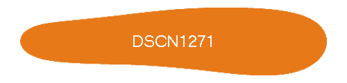 DSCN1271