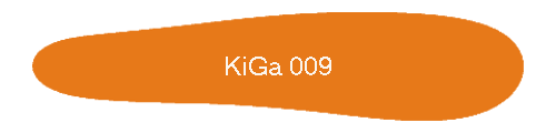 KiGa 009