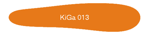 KiGa 013
